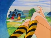 28234637447.webm