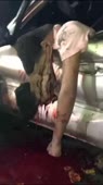 апчьхи.webm
