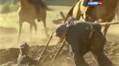 15678150080060.webm