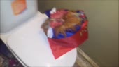 15209276508760.webm