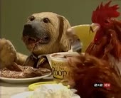 15595232416692.webm