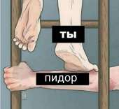 15786803564960.jpg