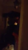 15797617621290.mp4