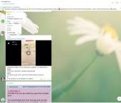 15409232948470.jpg