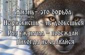 zhizn-borba-picture-big.jpg