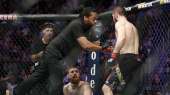 melee-at-ufc-229-after-nurmagomedov-chokes-out-mcgregor-201[...].jpg