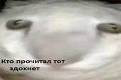 f6mIIqTxv0.jpg