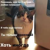 Dvbi4xiWkAE8L-m.jpg