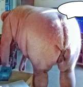 1492634205624 - копия.jpg