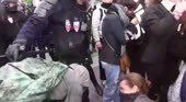 Визжит либерашка.webm