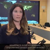 1222187834754420736.mp4