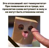 сосни хуйца.png