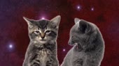 Space Cats — Magic FlyHD.webm
