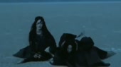 15118646239570.webm
