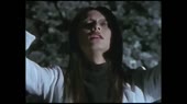 .mp4