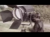 14687890101210.webm