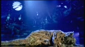 Musical Cats - Memor.webm