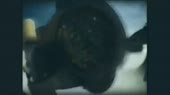 Aphex Twin - Ageispolis.webm