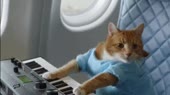 15792093533111.webm