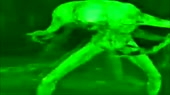 15769030084812.mp4