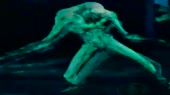 15769030085493.mp4