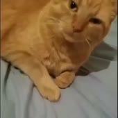 15040979372930.webm
