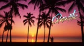 Quixotic - Palms.webm