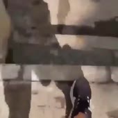 засранец.mp4