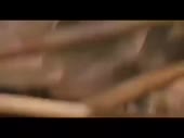 15803168934832.mp4