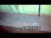 InShot20200305164449281.mp4