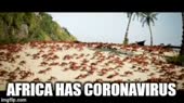 africa-corona.mp4