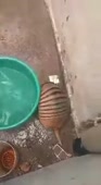 Ихтиандр.webm