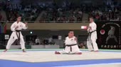 каратэ2.webm
