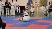 каратэ.webm