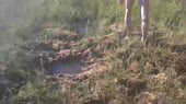 15113683391002.webm