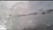 15704470826910.webm