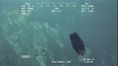 14948724274340.webm