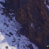 Снежный барс жертвует несколькими из своих девяти жизней, ч[...].mp4