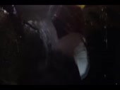 cb64cbd3be9e75d528aafe21a48c1fcb.webm