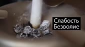 Вред курения.mp4
