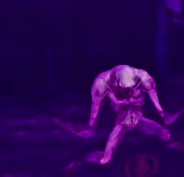 15722915542660.mp4