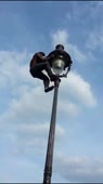 15708935275990.mp4