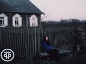 v1.mp4