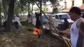 15727445105970.mp4
