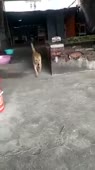 15855608309900.mp4