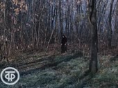 vvv.mp4