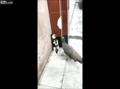 В осаде.mp4