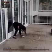.webm