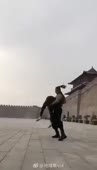 1585512882248.webm