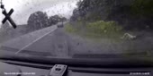 2211фф.webm